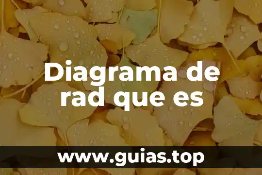 Qué es un diagrama de tiempos y movimientos 5 Diagrama de rad que es
