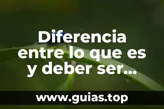 Que es un valor según kant 4 Diferencia entre lo que es y deber ser según Kant