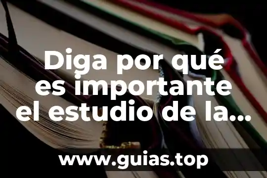 Diga que es un principio de acción en amparo 6 Diga por qué es importante el estudio de la historia