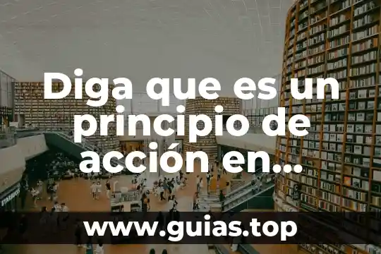 Diga por qué es importante el estudio de la historia 4 Diga que es un principio de acción en amparo