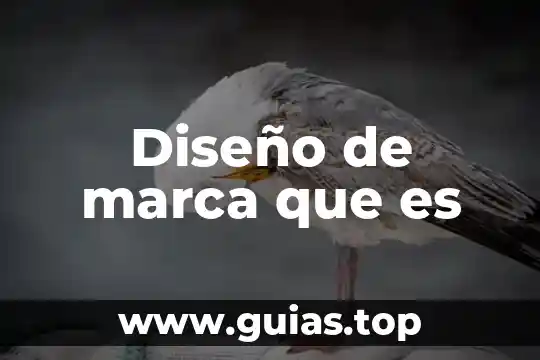 Marca rtw que es 6 Diseño de marca que es