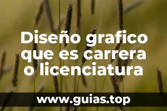 Que es el concepto de diseño 6 Diseño grafico que es carrera o licenciatura