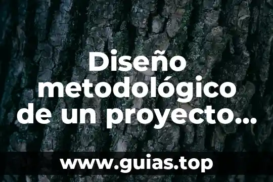 Qué es marco metodológico en una tesis 5 Diseño metodológico de un proyecto de evaluación que es