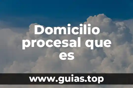 Que es el principio de inmediatez procesal en materia laboral 3 Domicilio procesal que es