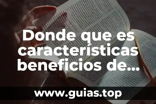 Donde que es características beneficios de la malanga