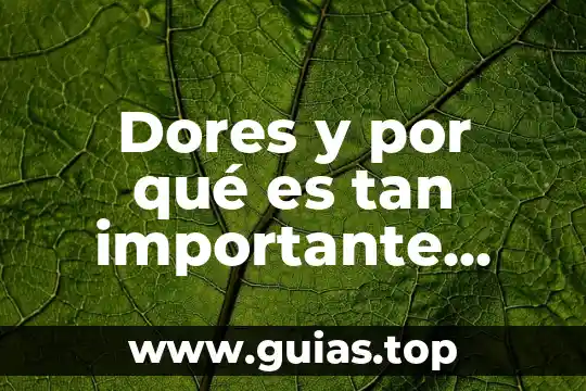 Por que es importante el dinero 4 Dores y por qué es tan importante ranking de emprende