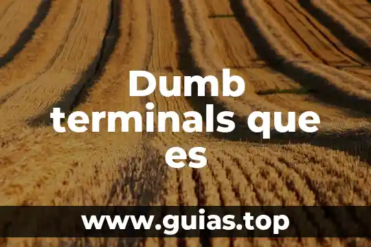 Alias del contacto que es 5 Dumb terminals que es