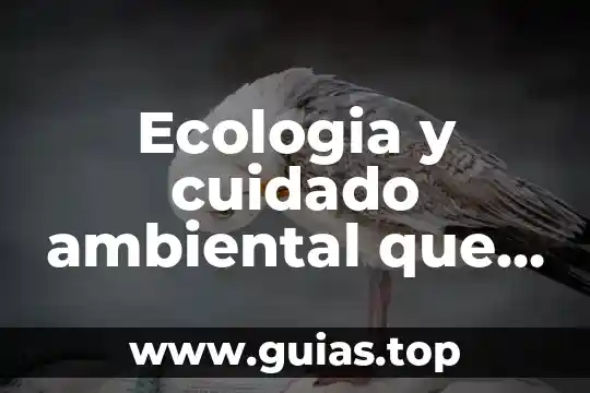 Que es el plan de cuidado nutricio Dra Martha Altamirano 5 Ecologia y cuidado ambiental que es