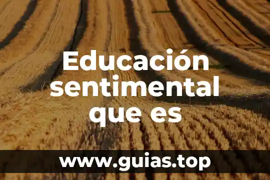 Estática educación qué es 4 Educación sentimental que es