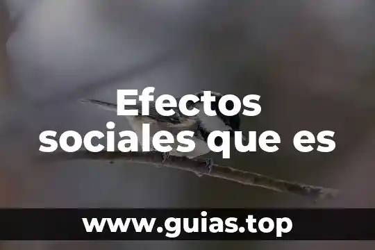 Qué es una hipótesis en ciencias sociales 3 Efectos sociales que es