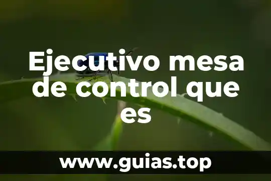 Mesa de servicios que es 5 Ejecutivo mesa de control que es