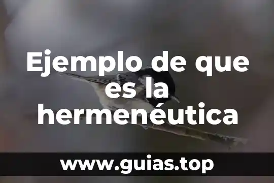 Que es hermeneutica teoria 6 Ejemplo de que es la hermenéutica