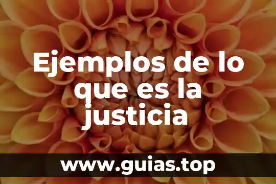 Que es tiempo termico en plantas prez 7 Ejemplos de lo que es la justicia