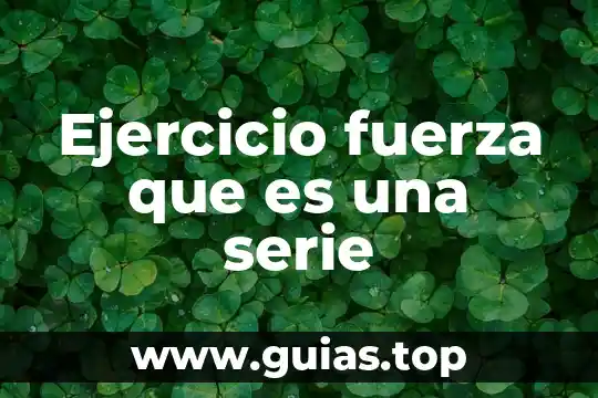 Qué es el número de serie de una computadora 8 Ejercicio fuerza que es una serie
