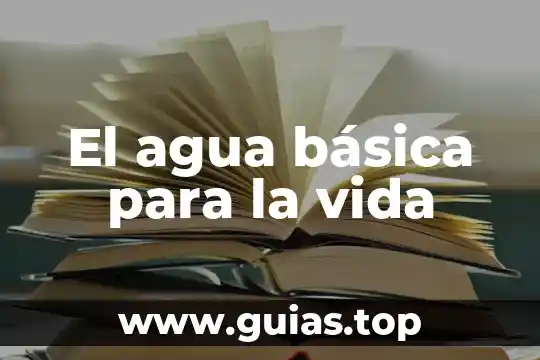 Que es una agua basica 6 El agua básica para la vida