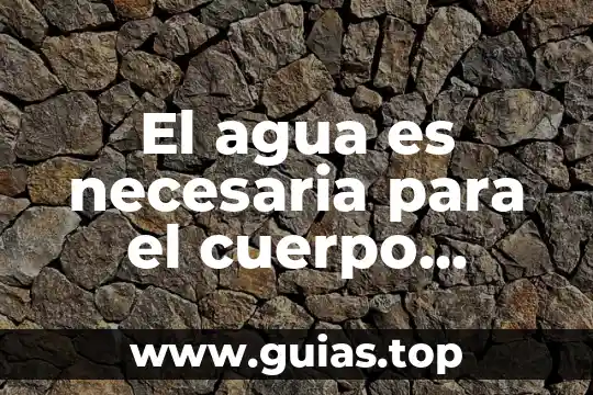 Gary becker que es el capital humano 4 El agua es necesaria para el cuerpo humano