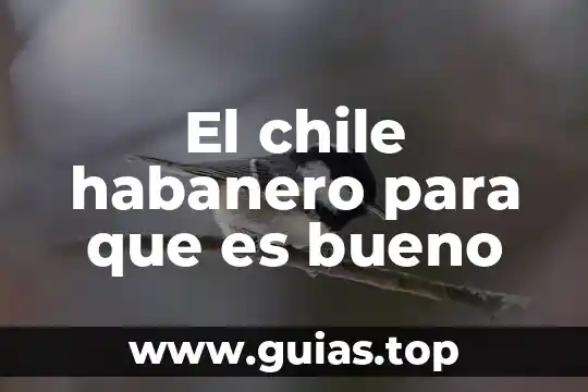 Qué es el chile xcatic historia 3 El chile habanero para que es bueno