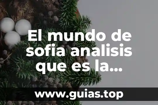 Qué es el subjetivismo radical en filosofía 8 El mundo de sofia analisis que es la filosofia