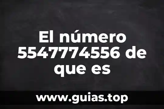 Qué es el número de exportador autorizado 4 El número 5547774556 de que es
