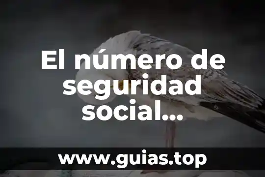 Que es un asesor de seguridad 5 El número de seguridad social Colombia