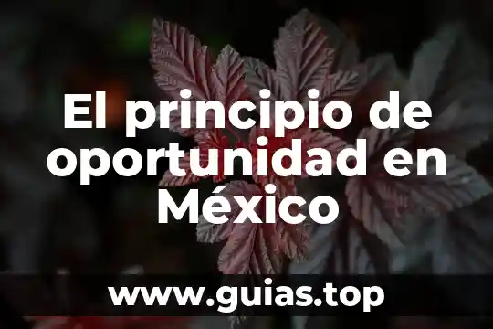 Que es ser naca en mexico 5 El principio de oportunidad en México