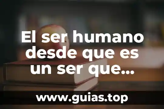 Qué es productividad desde el punto de vista 6 El ser humano desde que es un ser que comunica