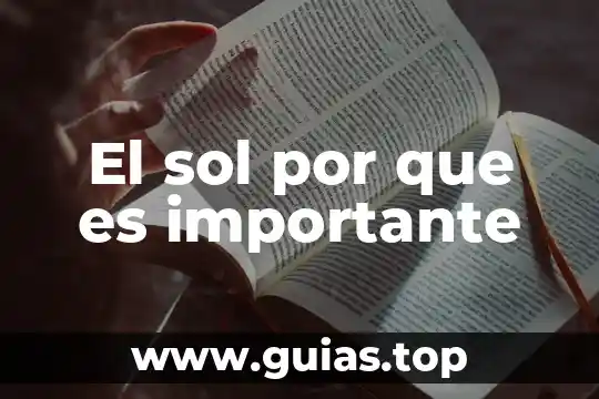 Por que es importante un modelo de negocio 4 El sol por que es importante