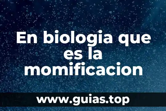 Que es el filtro de agua de biologia 5 En biologia que es la momificacion