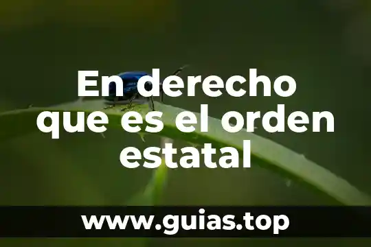 Que es orden de planta 6 En derecho que es el orden estatal
