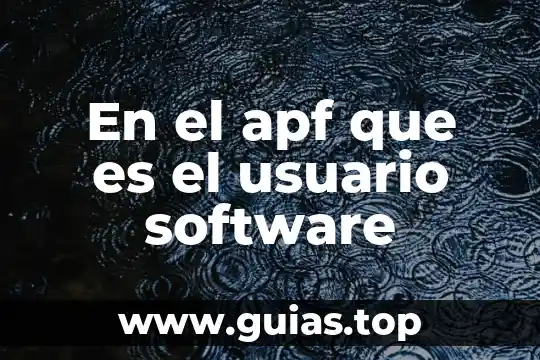 Que es ers software 7 En el apf que es el usuario software