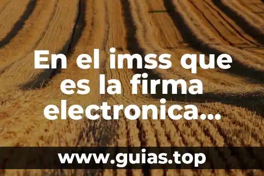 Que es una firma digital para drivers 4 En el imss que es la firma electronica avanzada