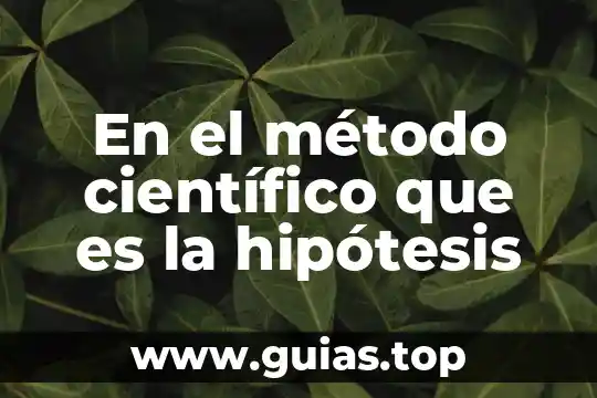 Qué es lenguaje científico definición 3 En el método científico que es la hipótesis
