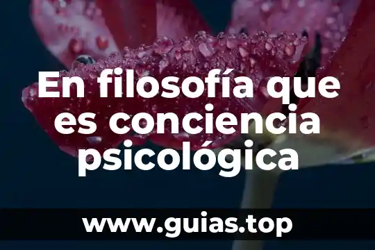 Que es metodo critico en filosofia 4 En filosofía que es conciencia psicológica