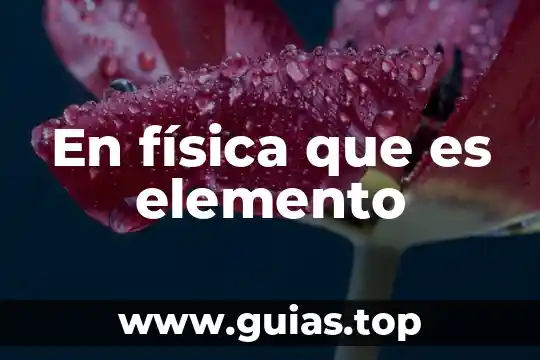 Que es un elemento de muestra 5 En física que es elemento