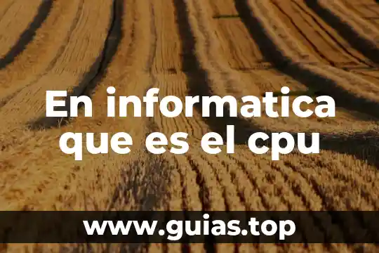 Qué es un texto oculto en informática 3 En informatica que es el cpu
