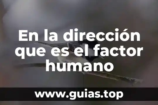 Qué es la química en el ser humano 8 En la dirección que es el factor humano