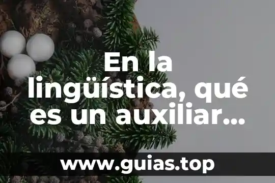 Que es una linea auxiliar 3 En la lingüística, qué es un auxiliar administrativo