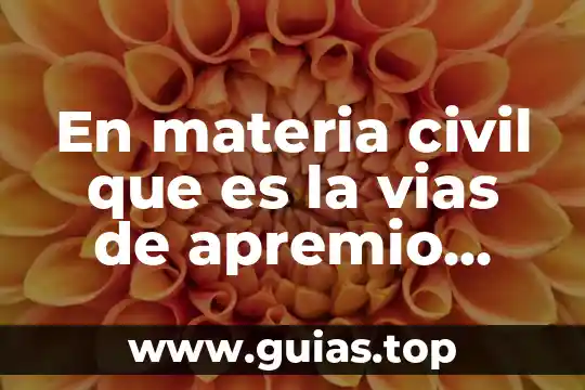 Que es flujo de energia y materia 4 En materia civil que es la vias de apremio concepto