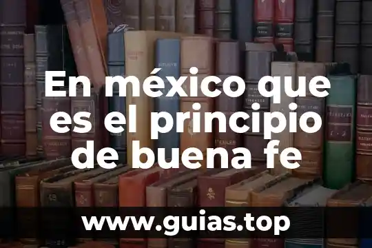 Que es la educacion en la fe 3 En méxico que es el principio de buena fe