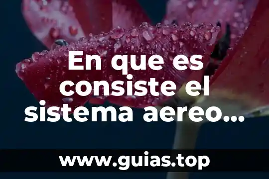 Que es el espacio aereo en derecho internacional 8 En que es consiste el sistema aereo del arbol frutal