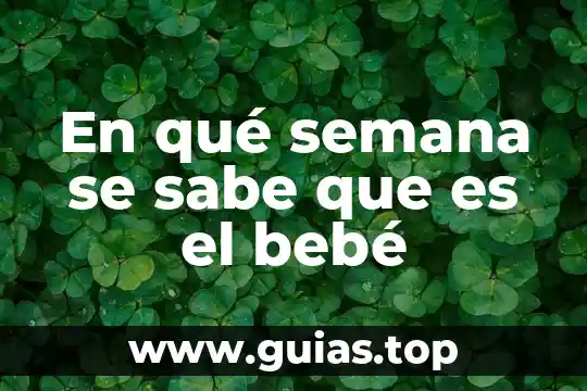 Que es bueno para que mi bebe haga popo 3 En qué semana se sabe que es el bebé