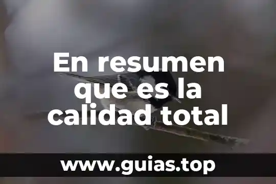 Que es resumen ejecutivo de agronegocios 5 En resumen que es la calidad total
