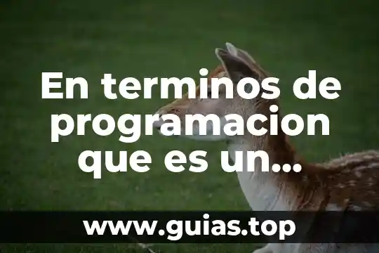 Términos consistentes que es 4 En terminos de programacion que es un modulo