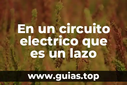 Que es circuito economico concepto 3 En un circuito electrico que es un lazo