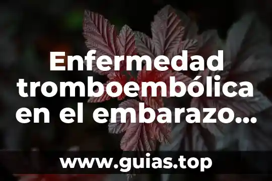 Que es justicia como elemento natural 3 Enfermedad tromboembólica en el embarazo que es