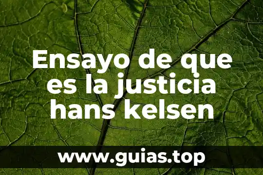 Para Kelsen, ¿qué es el objeto teoría? 3 Ensayo de que es la justicia hans kelsen