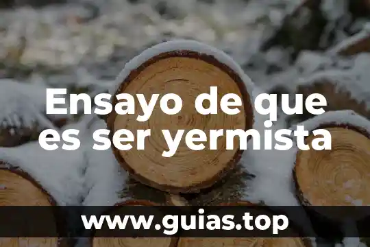 Que es ser viejo lesbiano 7 Ensayo de que es ser yermista
