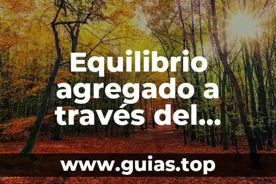 Que es la coordinacion de archivos concepto y funciones 3 Equilibrio agregado a través del tiempo que es