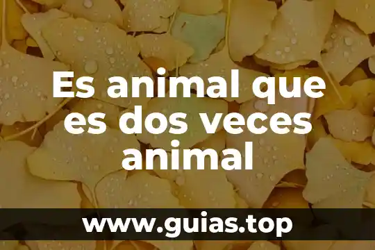 Que es un lucio animal 6 Es animal que es dos veces animal