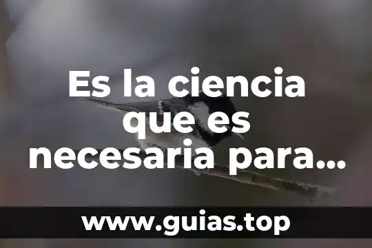 Que es la ciencia sin conciencia 6 Es la ciencia que es necesaria para realizar cualquier actividad